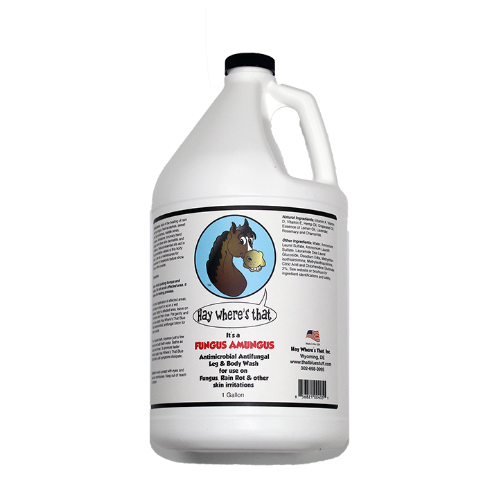 It's A Fungus Amungus Gallon
